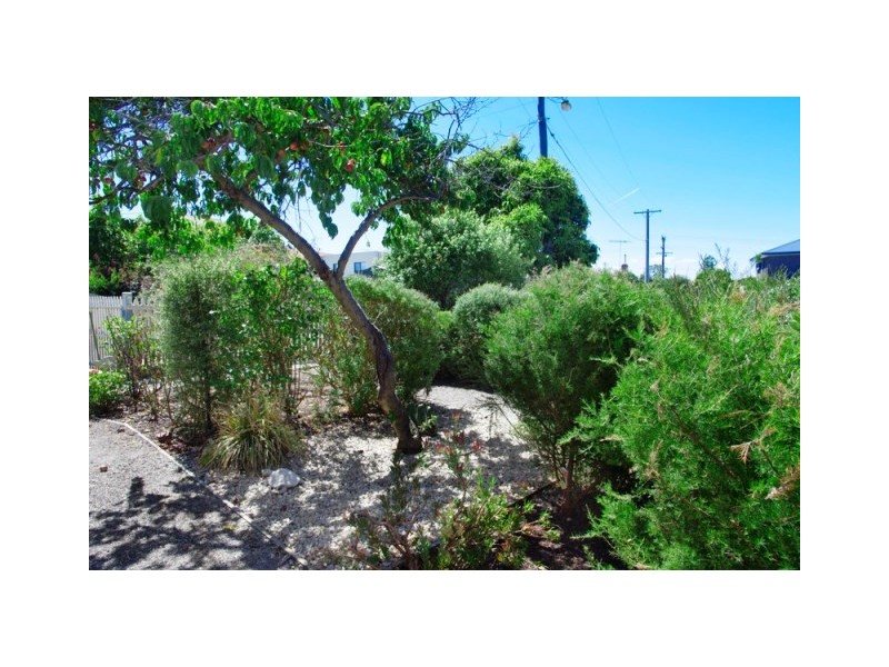 15 College Court, Newtown VIC 3220