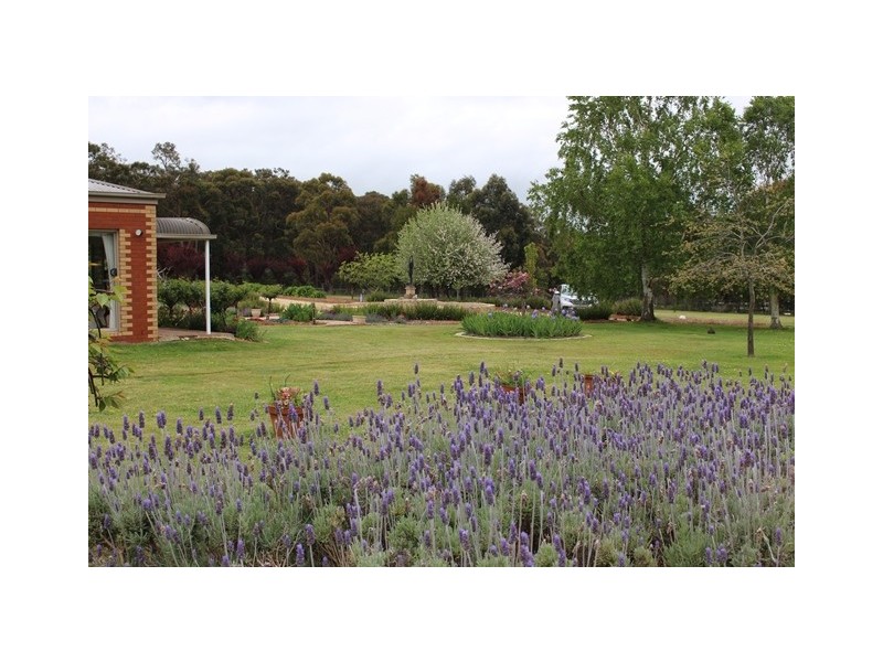 580 Wormbete Station Road, Gherang VIC 3240