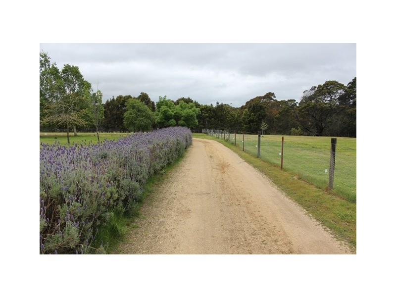 580 Wormbete Station Road, Gherang VIC 3240