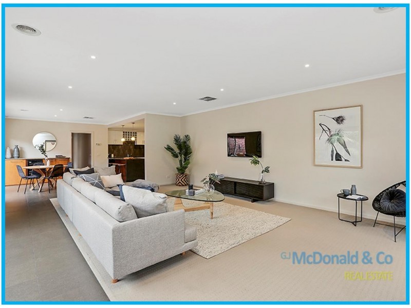 22 Belmont Street, Belmont VIC 3216