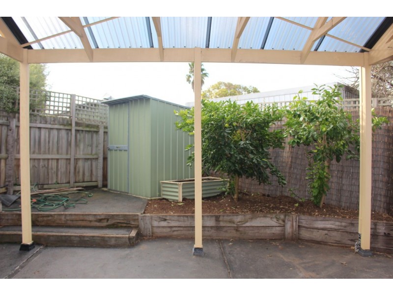 13 Prospect Avenue, Belmont VIC 3216