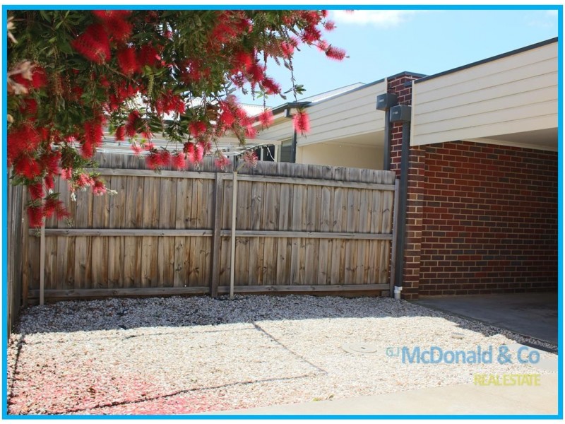 8/22 Walter Street, East Geelong VIC 3219