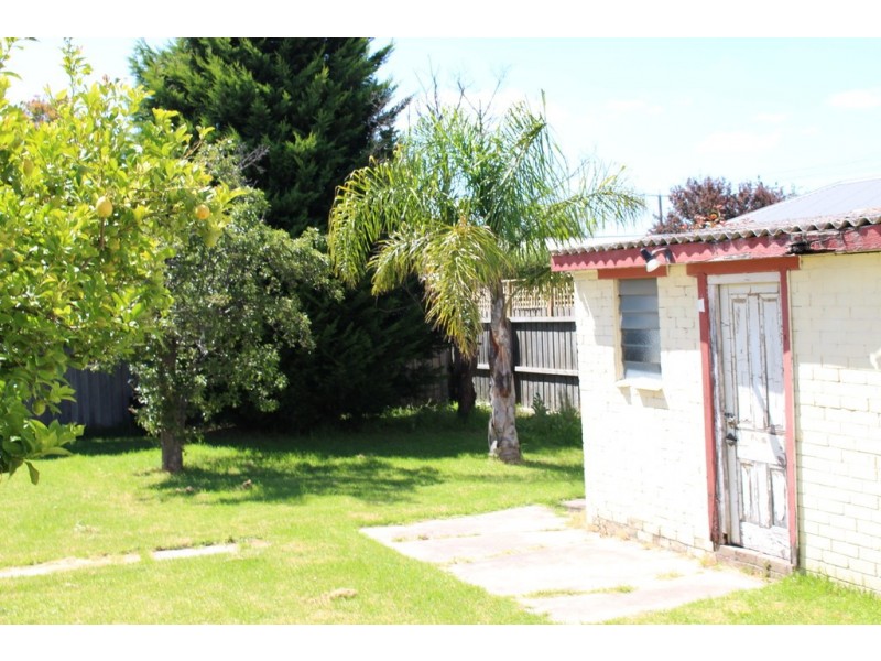 33 Frank Street, Newtown VIC 3220