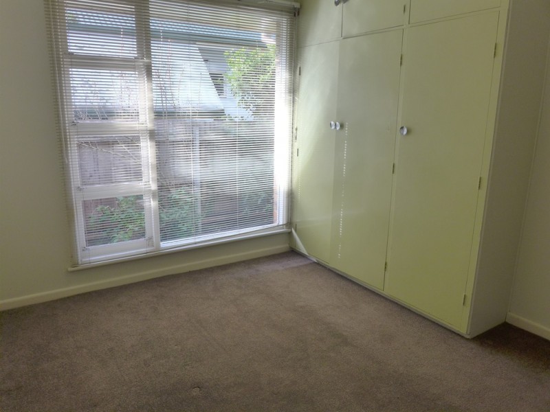 25 Vines Road, Hamlyn Heights VIC 3215