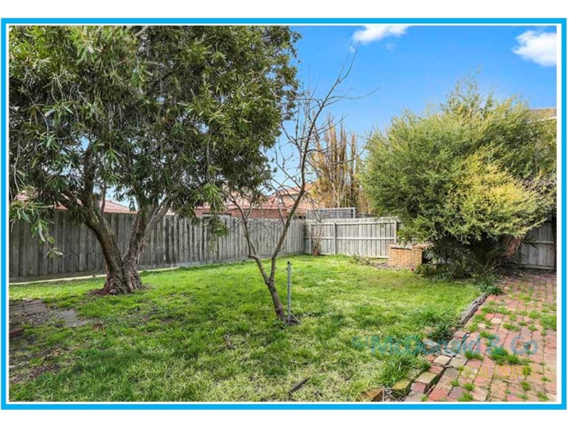 14 Wilks Street, Hamlyn Heights VIC 3215
