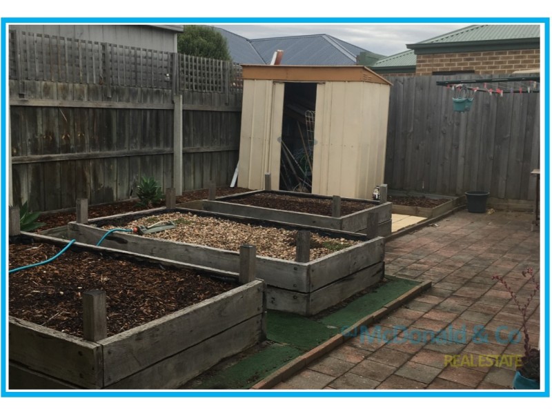 6 Katarina Place, Whittington VIC 3219