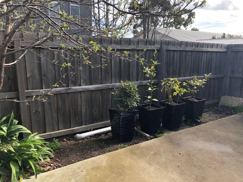 172B Ormond Road, East Geelong VIC 3219