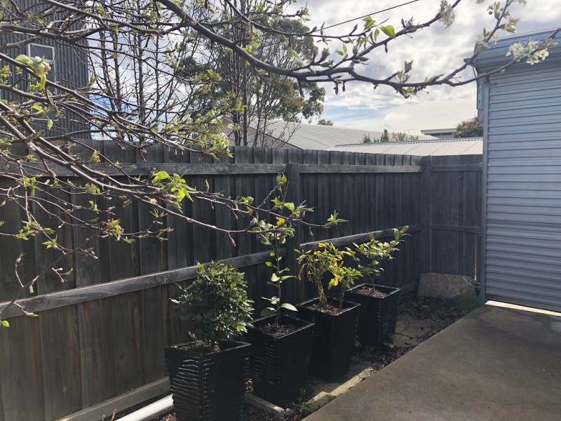 172B Ormond Road, East Geelong VIC 3219