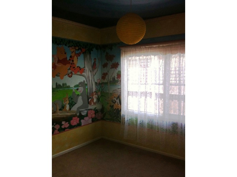 11 Anthony Street, Newcomb VIC 3219