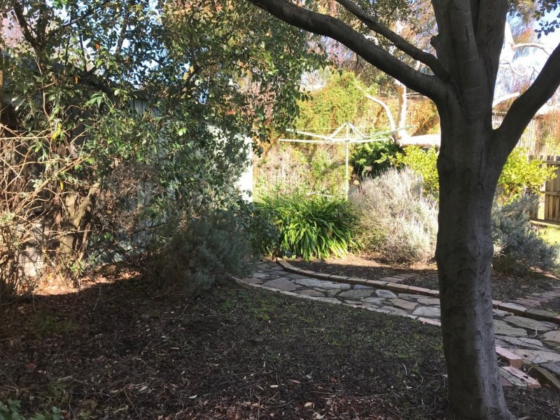 135 Skene Street, Newtown VIC 3220