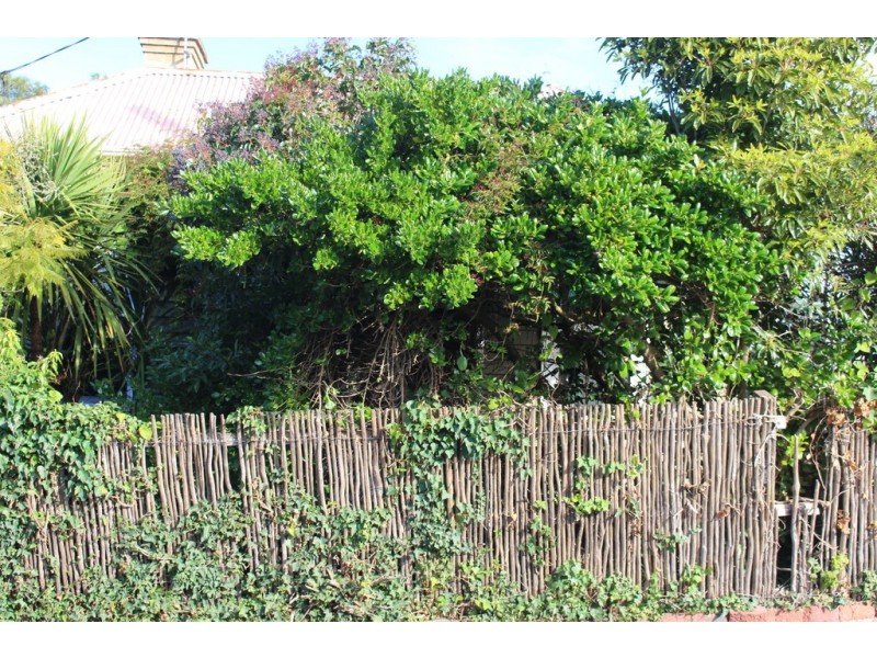 1 Leslie Street, Newtown VIC 3220