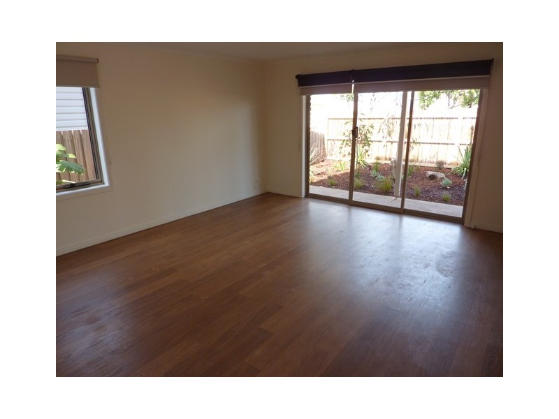 50 Saffron Street, Newtown VIC 3220