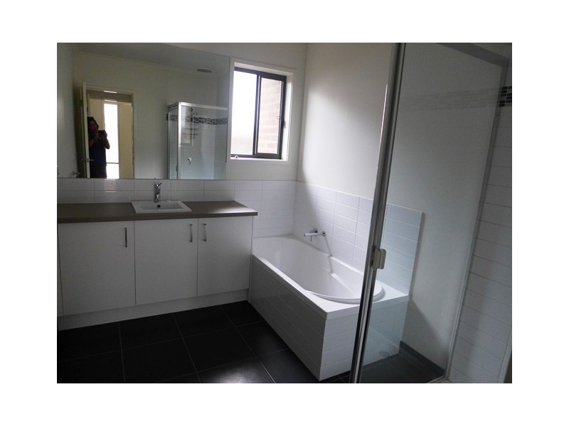 3/10 Francis Street, Belmont VIC 3216