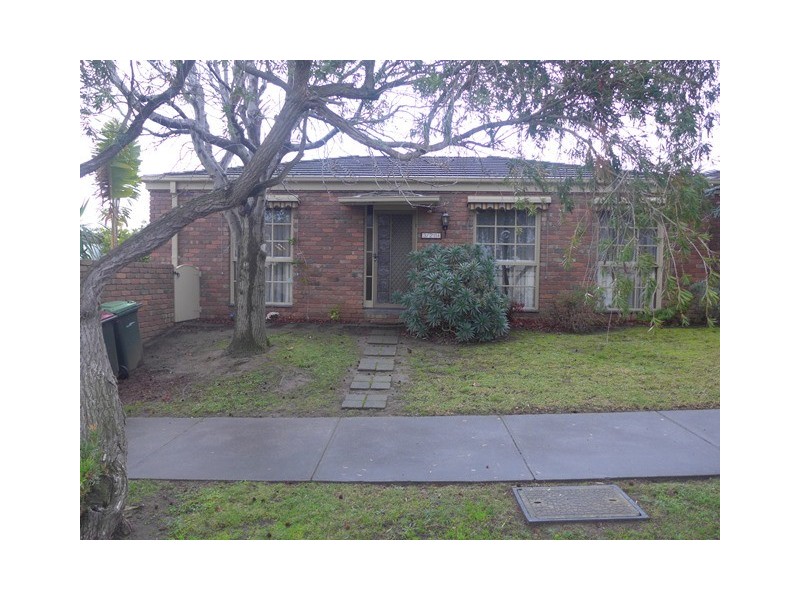 3/209 Mt Pleasant Road, Highton VIC 3216