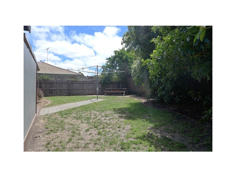 8 Oberon Drive, Belmont VIC 3216