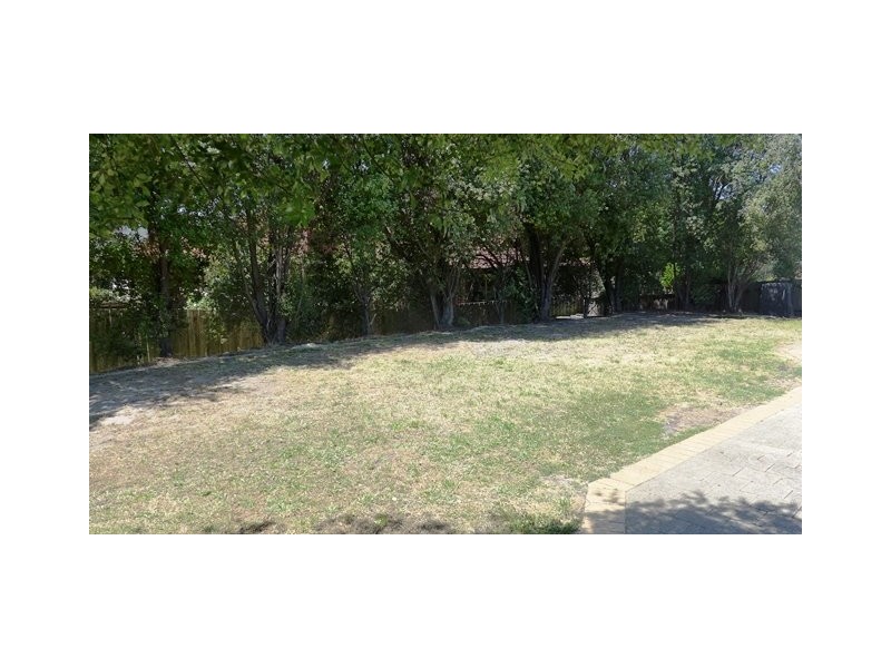 11 Wandana Drive, Wandana Heights VIC 3216