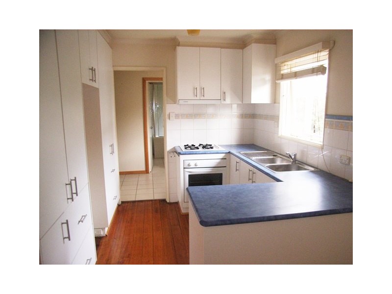 52 Hennessy Avenue, Herne Hill VIC 3218