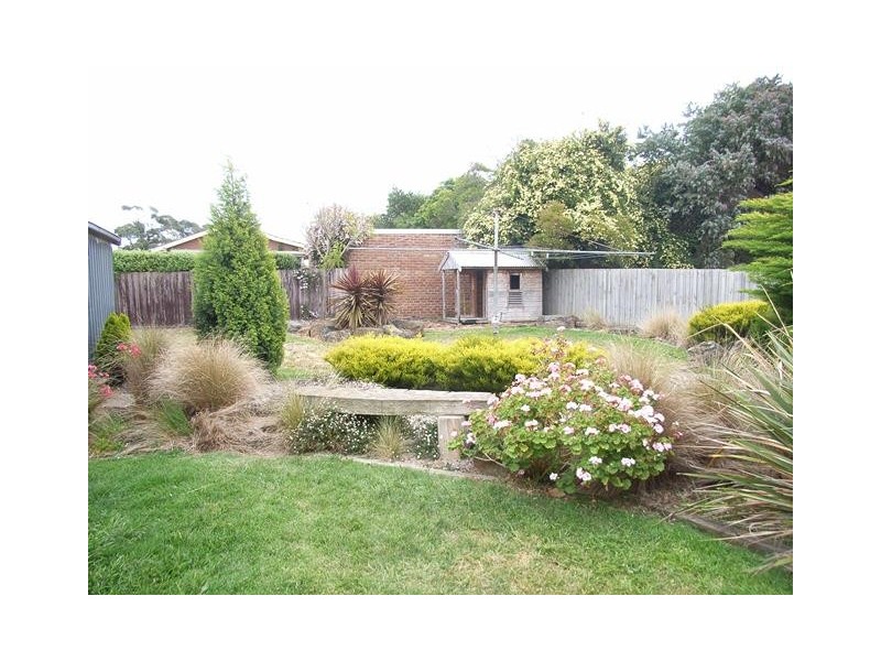 52 Hennessy Avenue, Herne Hill VIC 3218