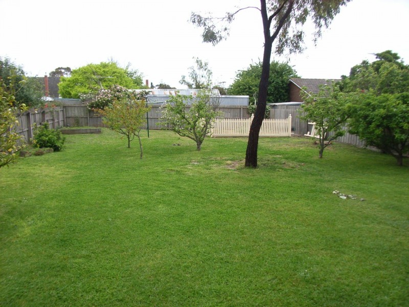 62 Regent Street, Belmont VIC 3216