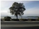 4/21 The Esplanade, Geelong VIC 3220