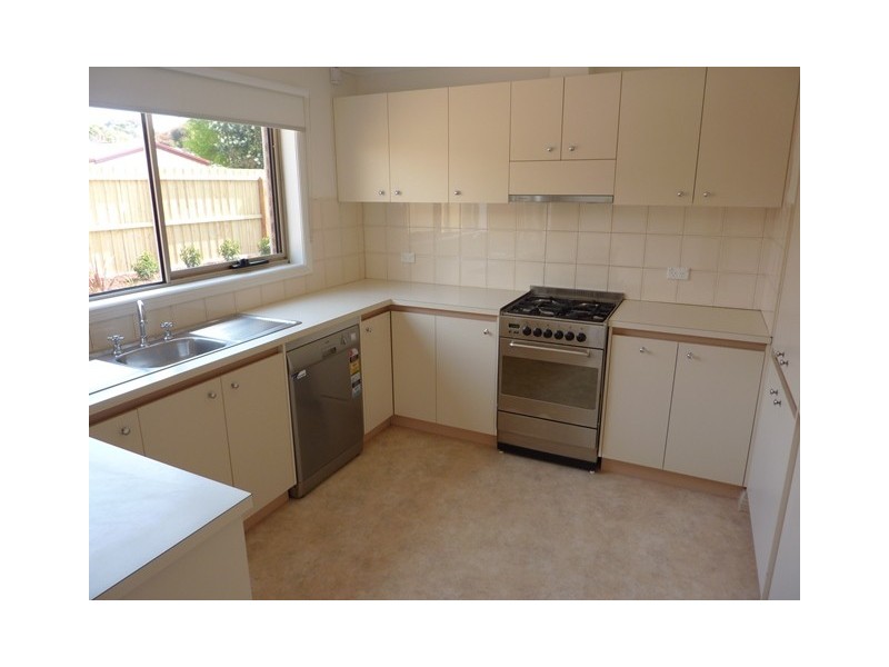 50 Saffron Street, Newtown VIC 3220