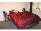 15 Argyle Street, Belmont VIC 3216