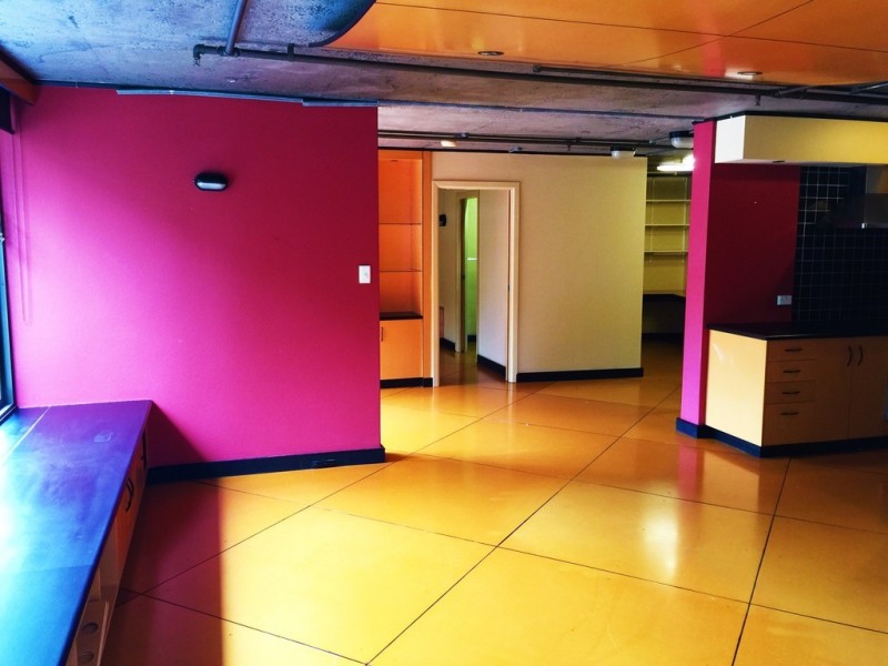 56 Lower Campbell Street, Surry Hills NSW 2010