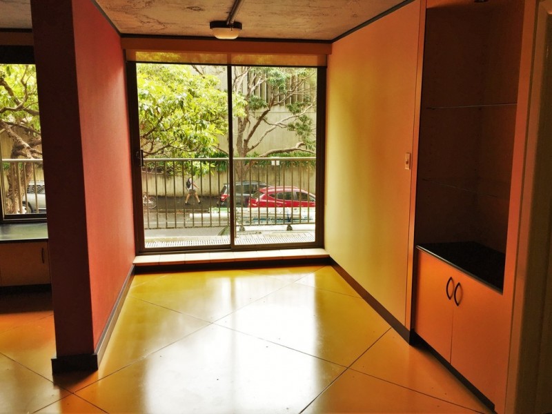 56 Lower Campbell Street, Surry Hills NSW 2010