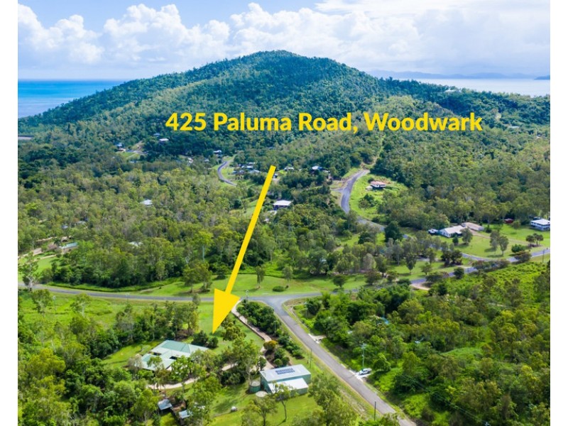 425 Paluma Road, Woodwark QLD 4802