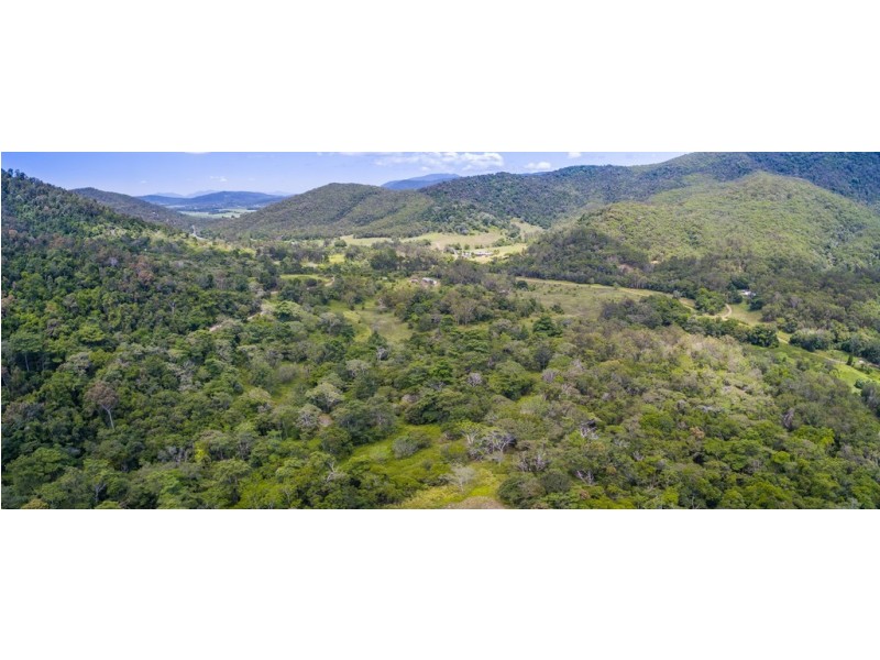 91 Forestry Road, Brandy Creek QLD 4800