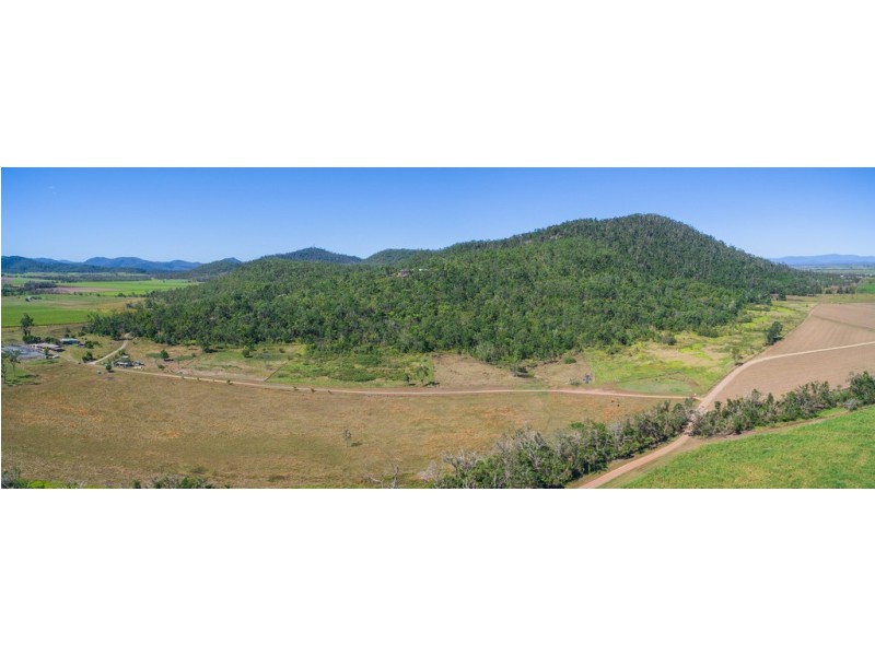 97 Muller Road, Myrtlevale QLD 4800