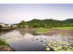42 Abell Road, Cannonvale QLD 4802