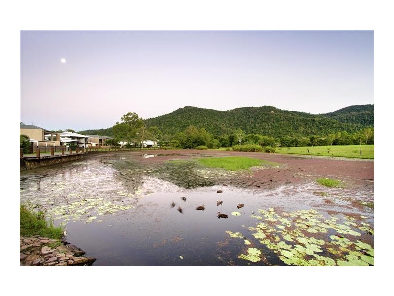 42 Abell Road, Cannonvale QLD 4802