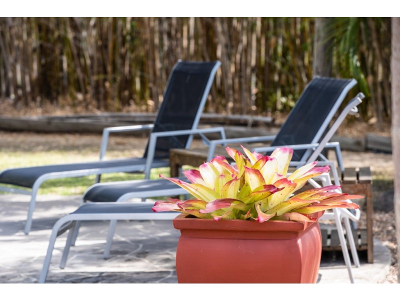61 Eshelby Drive, Cannonvale QLD 4802