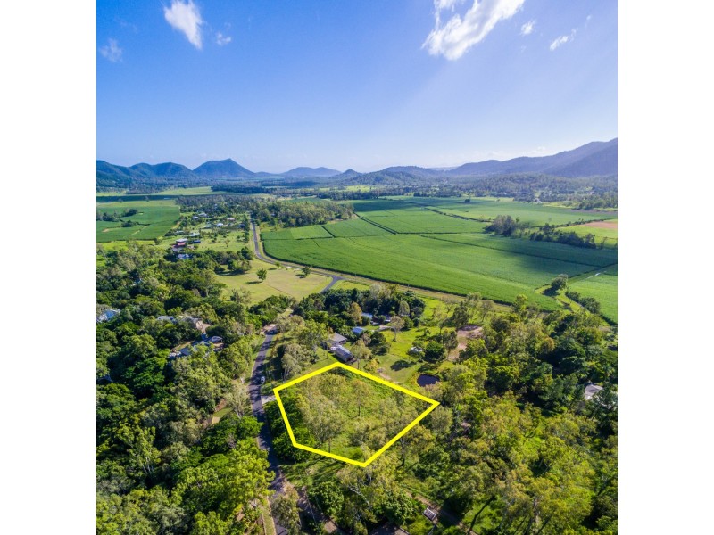1021 Black Road, Riordanvale QLD 4800