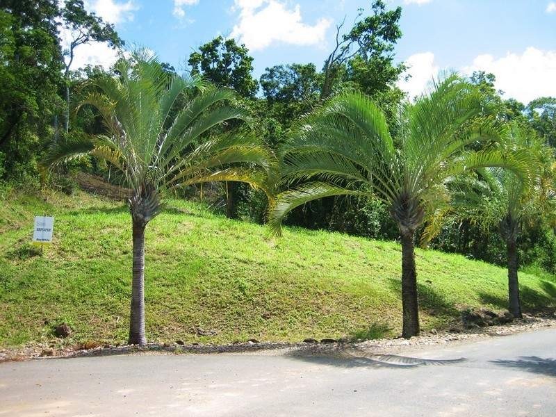 Lot 20 Botanica Drive, Cannonvale QLD 4802