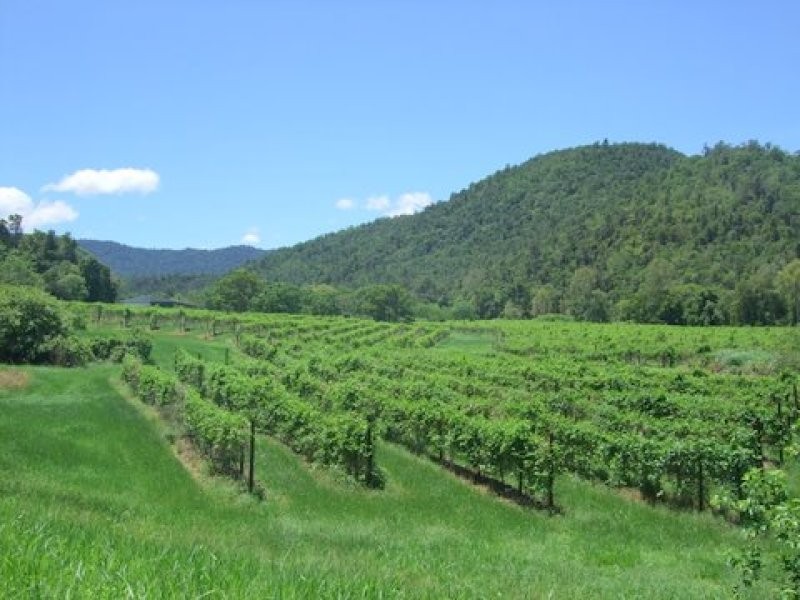 287 Patullo Road, Whitsundays QLD 4802