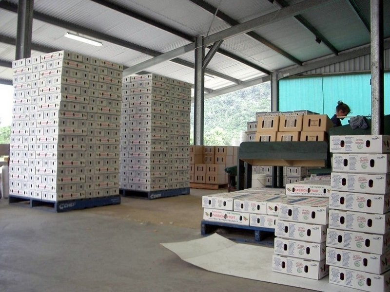 287 Patullo Road, Whitsundays QLD 4802