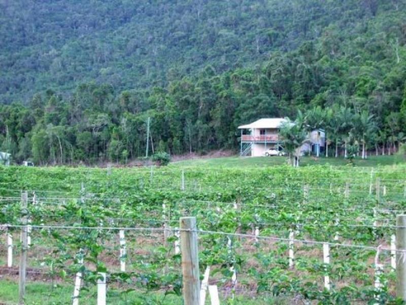 287 Patullo Road, Whitsundays QLD 4802