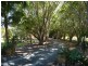 1058 Conway Road, Conway QLD 4800