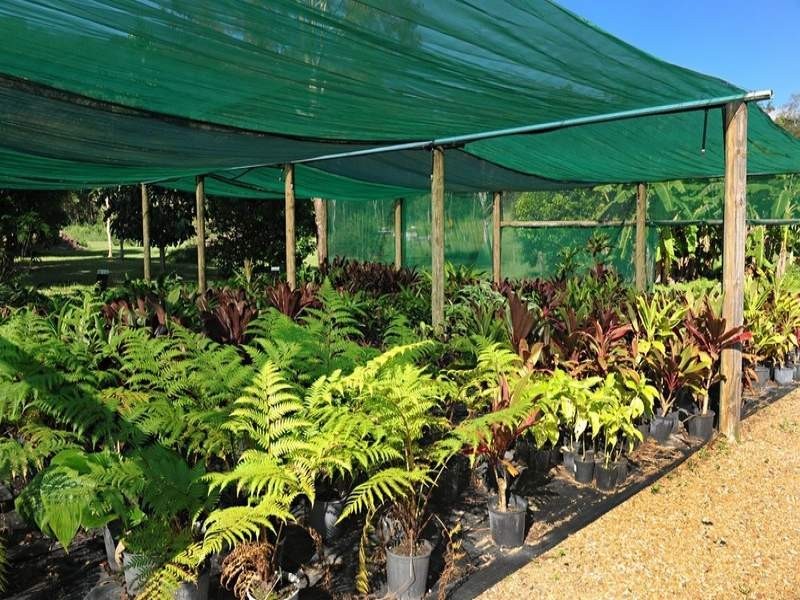 848 Conway Road, Conway QLD 4800