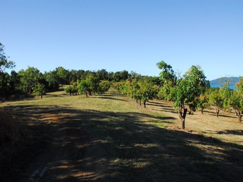 Lot 2 Pringle Road, Cannonvale QLD 4802