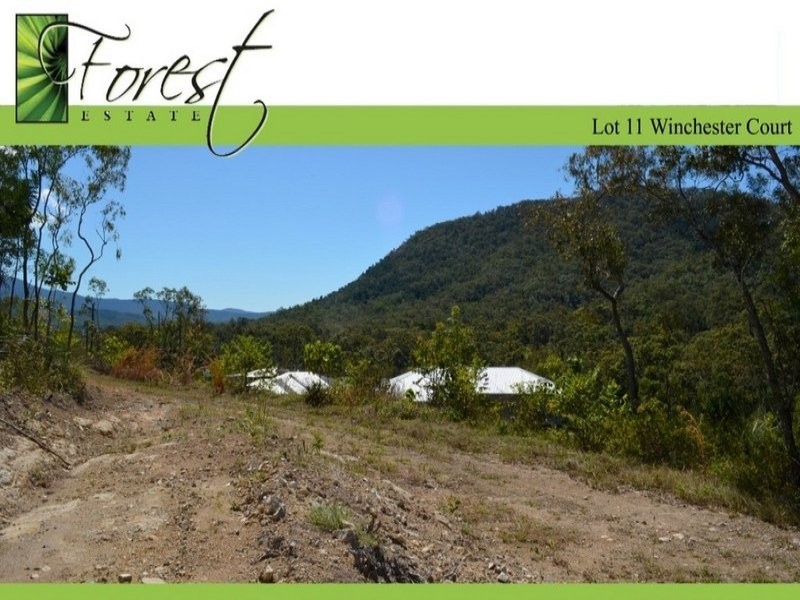 0 Forest Estate, Cannonvale QLD 4802