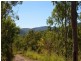 Lot 8 Paluma Road, Cannonvale QLD 4802