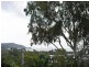 3 Hamilton Avenue, Cannonvale QLD 4802