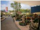 1464 Shute Harbour Road, Cannonvale QLD 4802