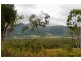 Lot 5 Dorothy Road, Sugarloaf QLD 4800
