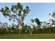 600 Dingo Beach Road, Gregory River QLD 4800