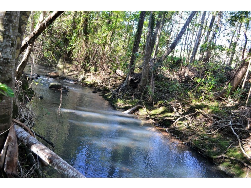 Lot 197 Monaghan Road, Palm Grove QLD 4800