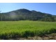 Lot 197 Monaghan Road, Palm Grove QLD 4800
